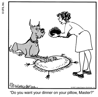 marmaduke